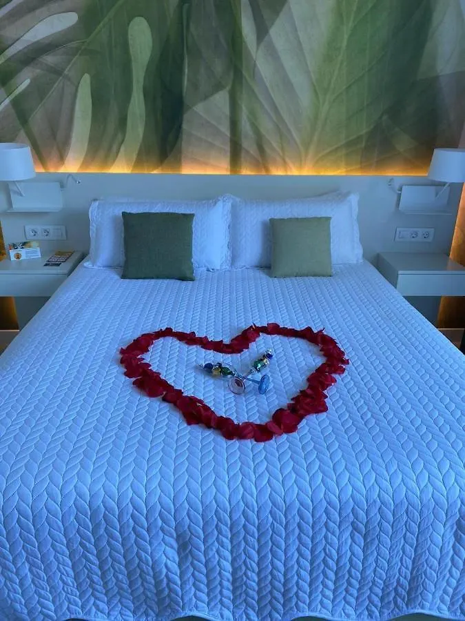 Palm Tree By Villa Soleros Gay Friendly Adult Only Spain